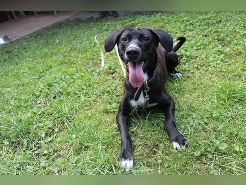 Inseratsbild