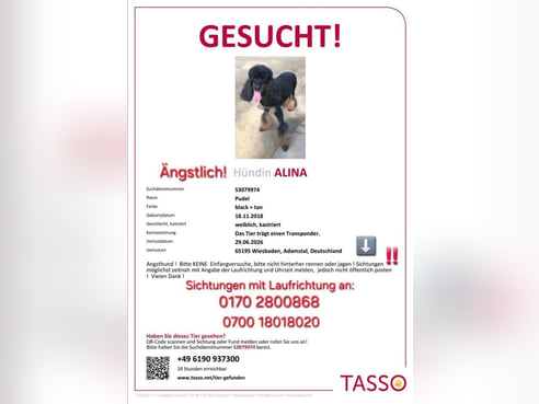 Inseratsbild
