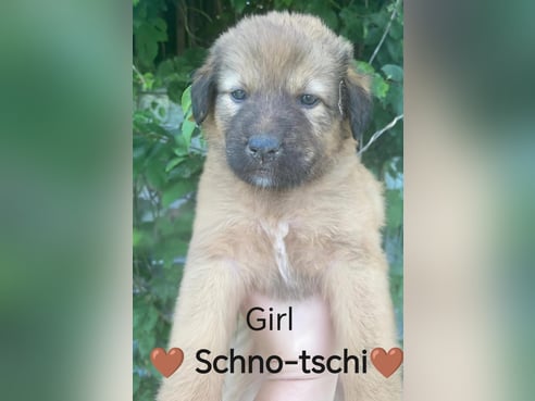 Inseratsbild