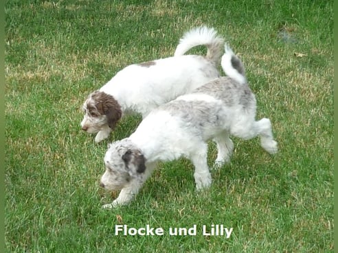 Inseratsbild
