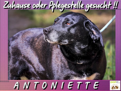 Inseratsbild