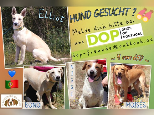Inseratsbild