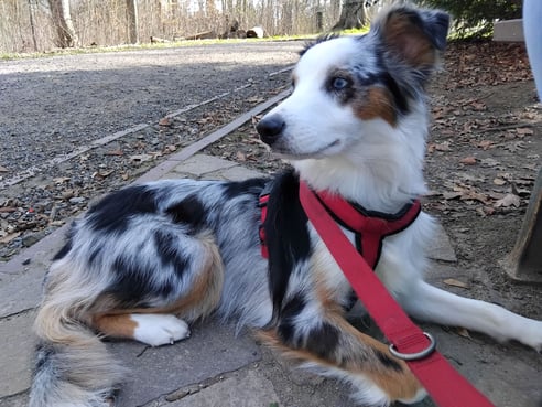Inseratsbild