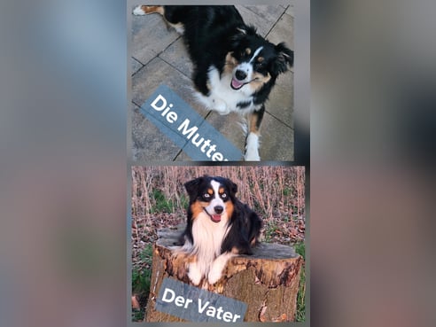 Inseratsbild