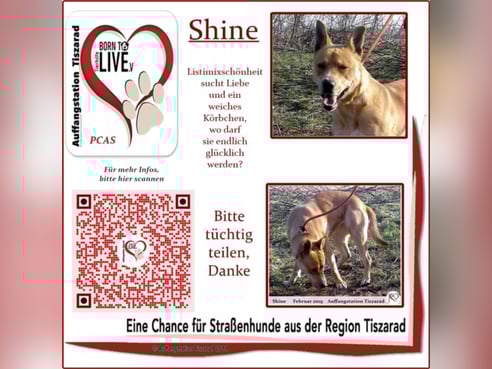 Inseratsbild