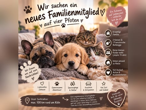 Inseratsbild