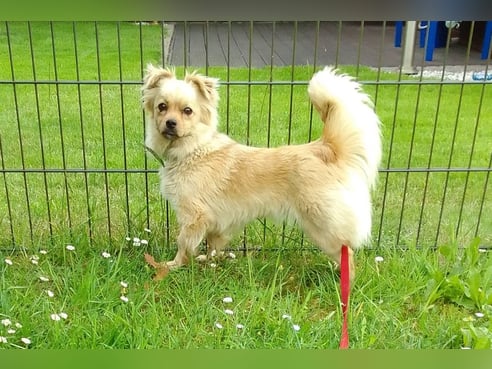 Inseratsbild
