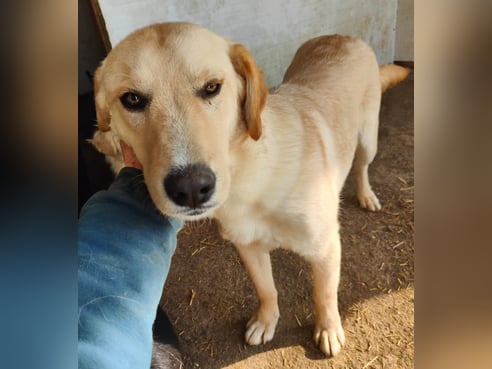 Inseratsbild