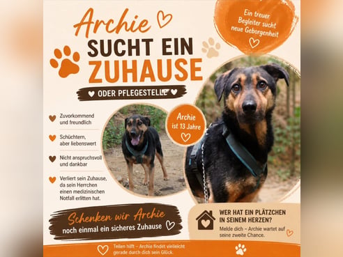 Inseratsbild