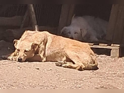 Inseratsbild