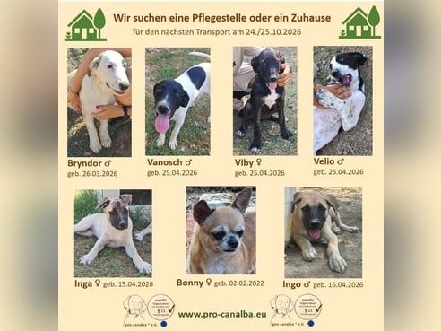 Inseratsbild