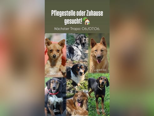 Inseratsbild