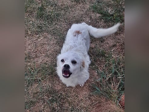 Inseratsbild