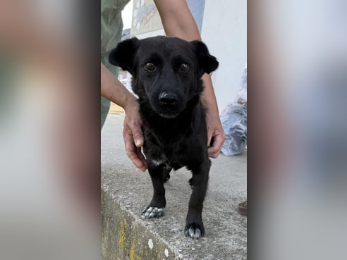 Inseratsbild