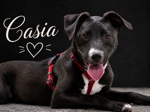 Inseratsbild