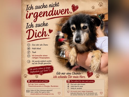 Inseratsbild