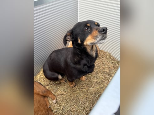 Inseratsbild