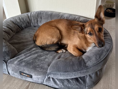 Inseratsbild