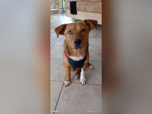 Inseratsbild