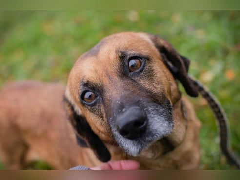 Inseratsbild
