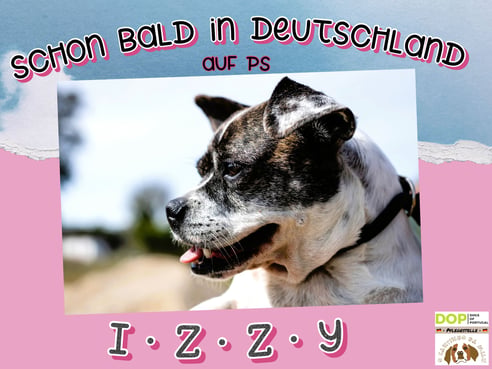 Inseratsbild