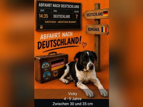 Inseratsbild