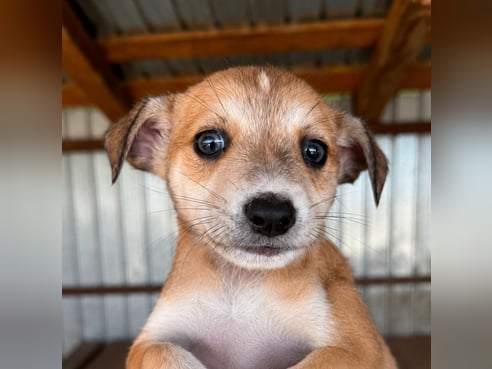 Inseratsbild