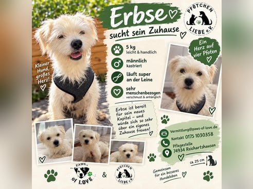 Inseratsbild