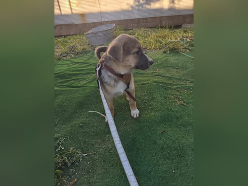 Inseratsbild