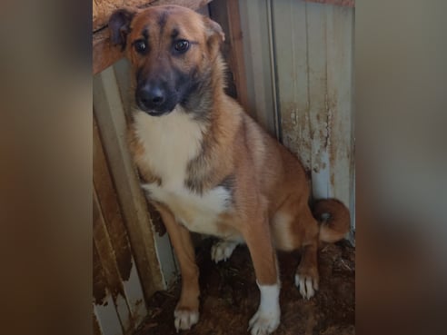 Inseratsbild