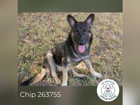 Inseratsbild