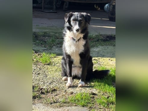 Inseratsbild