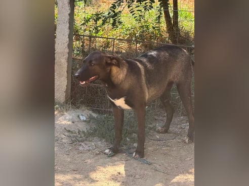 Inseratsbild