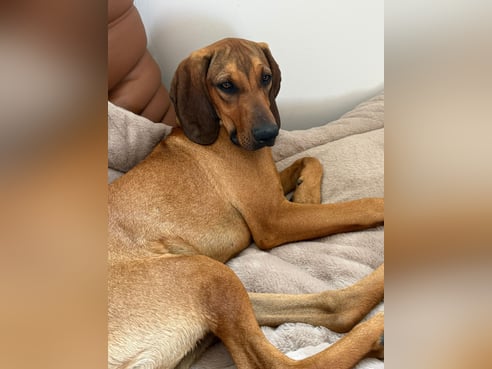Inseratsbild