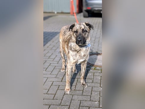 Inseratsbild
