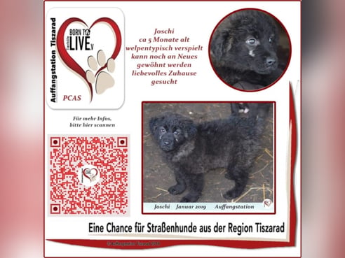 Inseratsbild