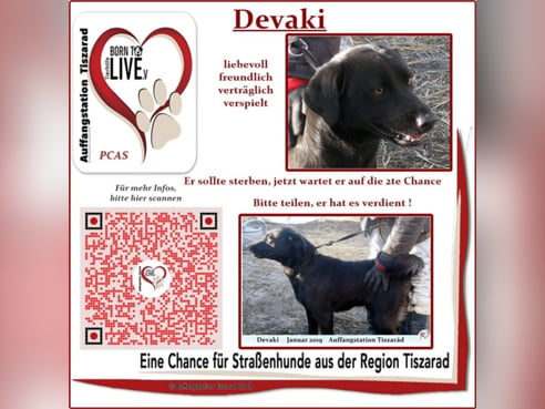 Inseratsbild