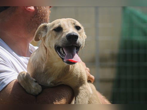 Inseratsbild