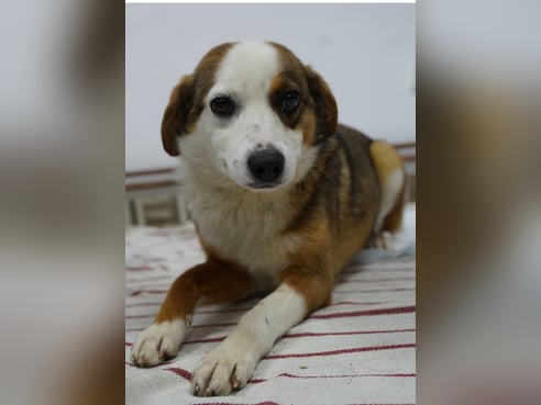 Inseratsbild