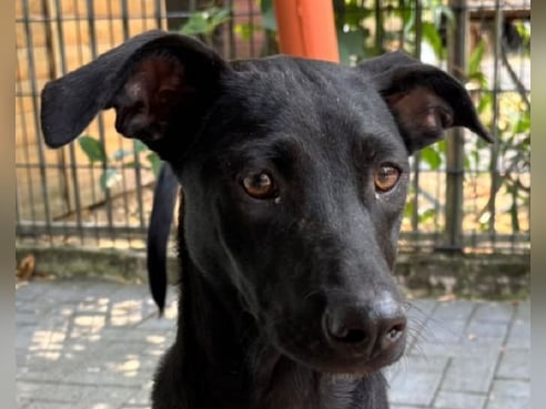 Inseratsbild