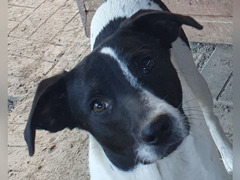 Inseratsbild