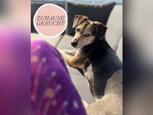 Inseratsbild