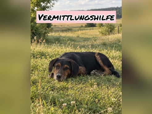 Inseratsbild