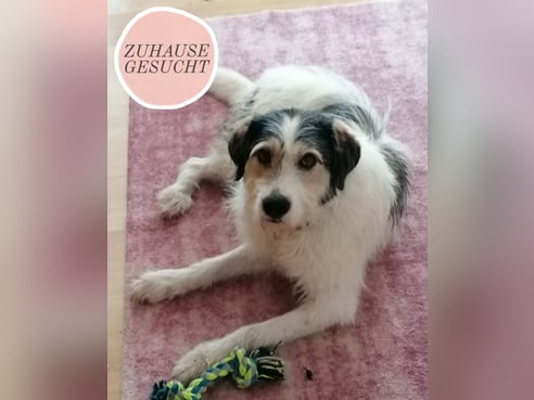 Inseratsbild