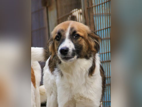 Inseratsbild