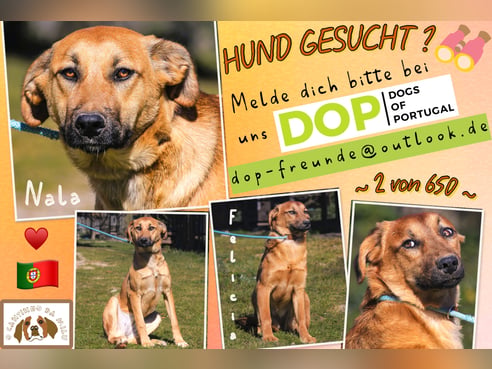 Inseratsbild