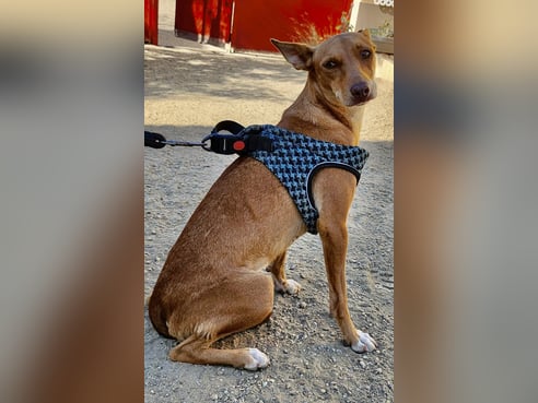 Inseratsbild