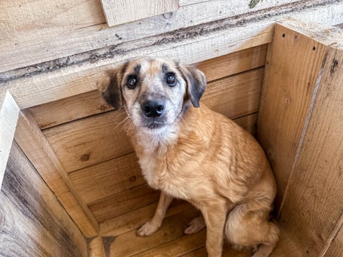 Inseratsbild