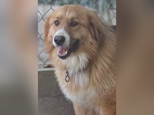 Inseratsbild