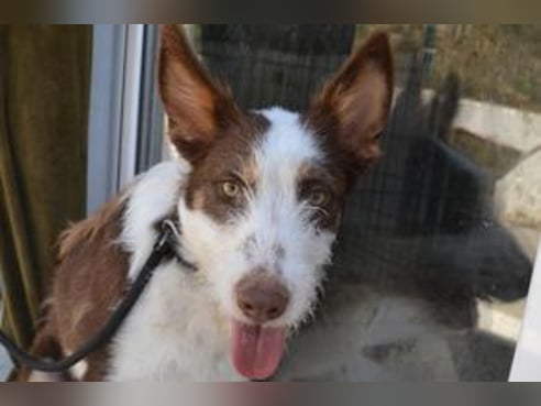 Inseratsbild